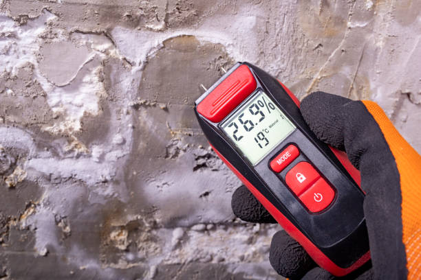 Best Mold Testing and Removal  in Southport, CT