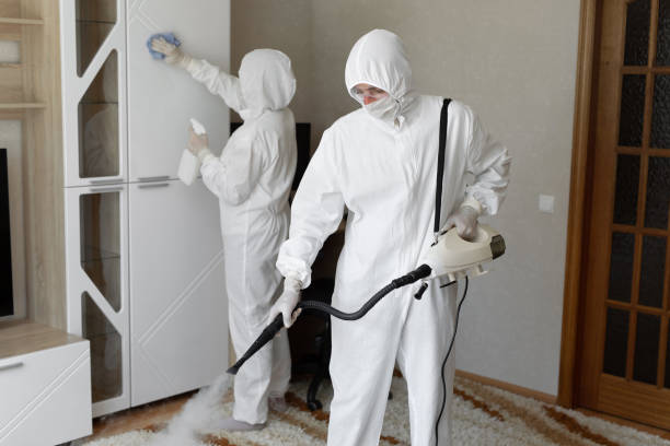 Certified Mold Removal in Southport, CT