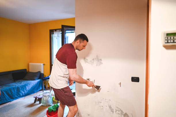Best Mold Removal Process  in Southport, CT