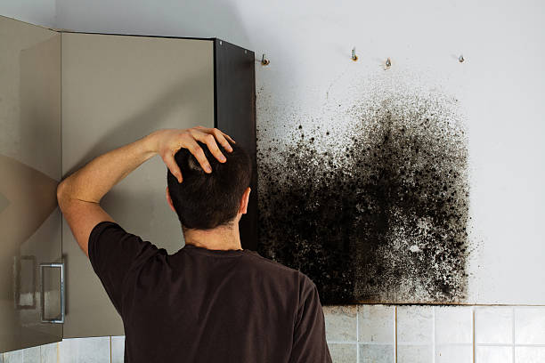 Best Mold Testing  in Southport, CT